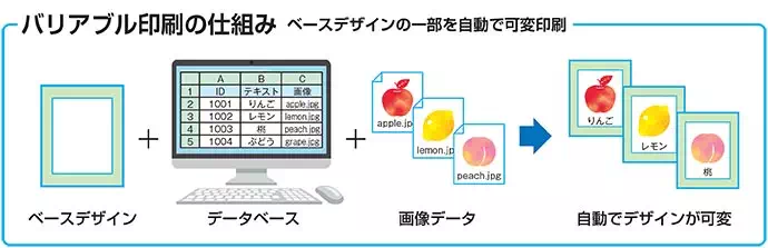 バリアブル印刷の仕組み。ベースデザインの一部を自動で可変印刷