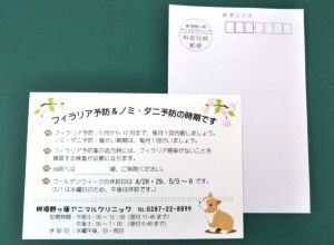 那須野ヶ原アニマルクリニック様「予防ご案内はがき」を制作しました