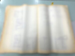 青焼き観音製本の電子化